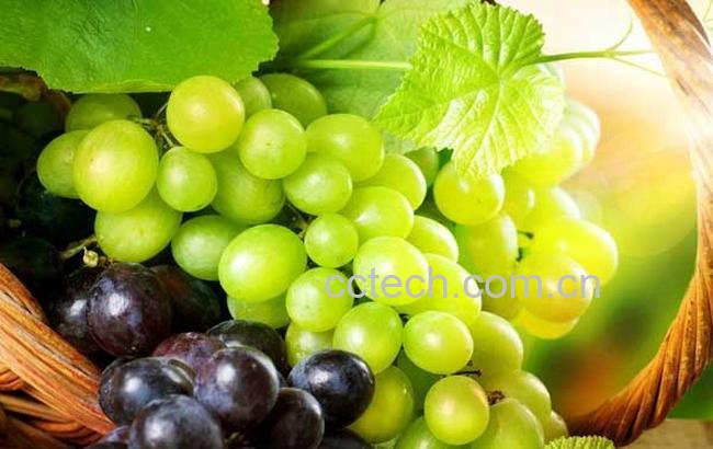 果蔬百科葡萄的功效与作用-0