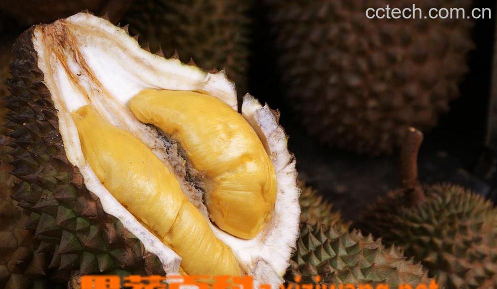 果蔬百科榴莲变质什么样-0