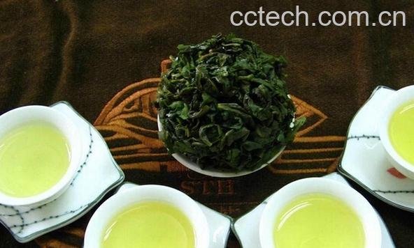 果蔬百科铁观音-0