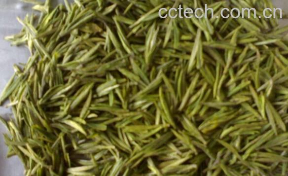 果蔬百科黄茶-0