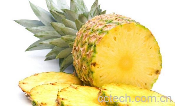 果蔬百科菠萝-0
