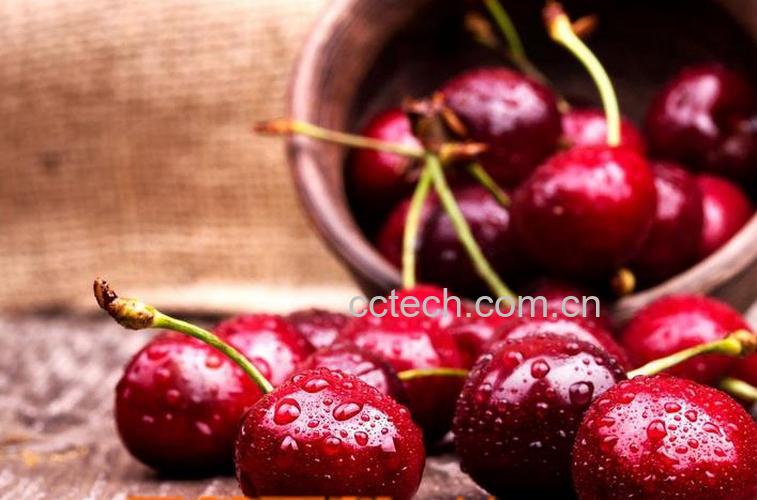 果蔬百科樱桃的功效与作用-0