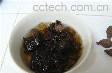 果蔬百科胖大海-0