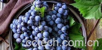 果蔬百科黑提的功效与作用-0