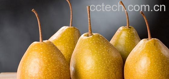 果蔬百科雪花梨的功效与作用-0