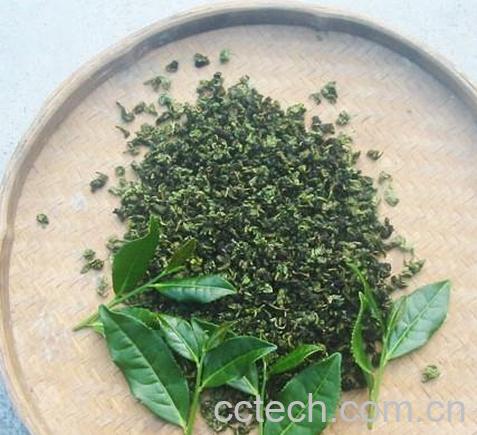 果蔬百科铁观音是绿茶吗-0