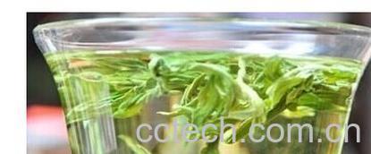 果蔬百科荷叶茶-0