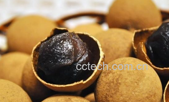 果蔬百科桂圆干的功效与作用-0