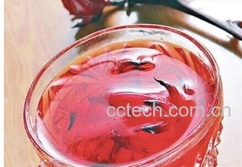 果蔬百科洛神花-0