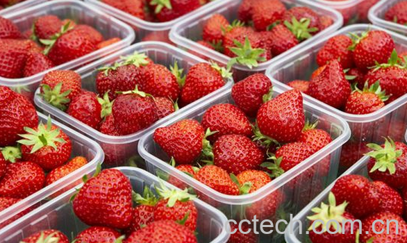 果蔬百科草莓怎么洗才干净-0