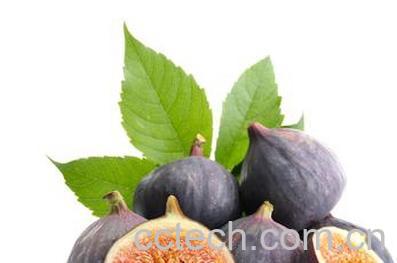 果蔬百科无花果的营养价值及食用方法-0