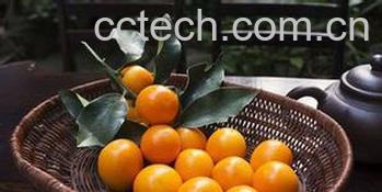 果蔬百科吃金桔的好处和坏处-0