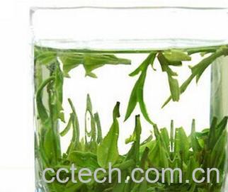 果蔬百科绿茶-0