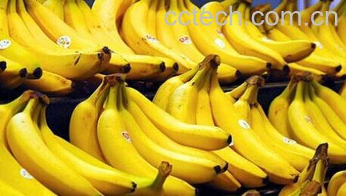 果蔬百科香蕉的功效与作用-0