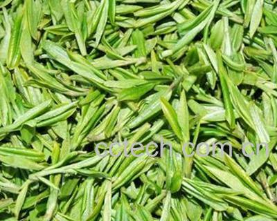 果蔬百科龙井茶-0