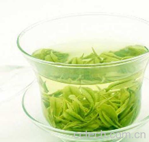 果蔬百科白茶-0