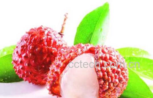 果蔬百科荔枝的功效与作用-0