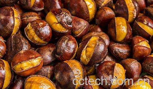 果蔬百科栗子和什么不能一起吃 栗子食用禁忌-0