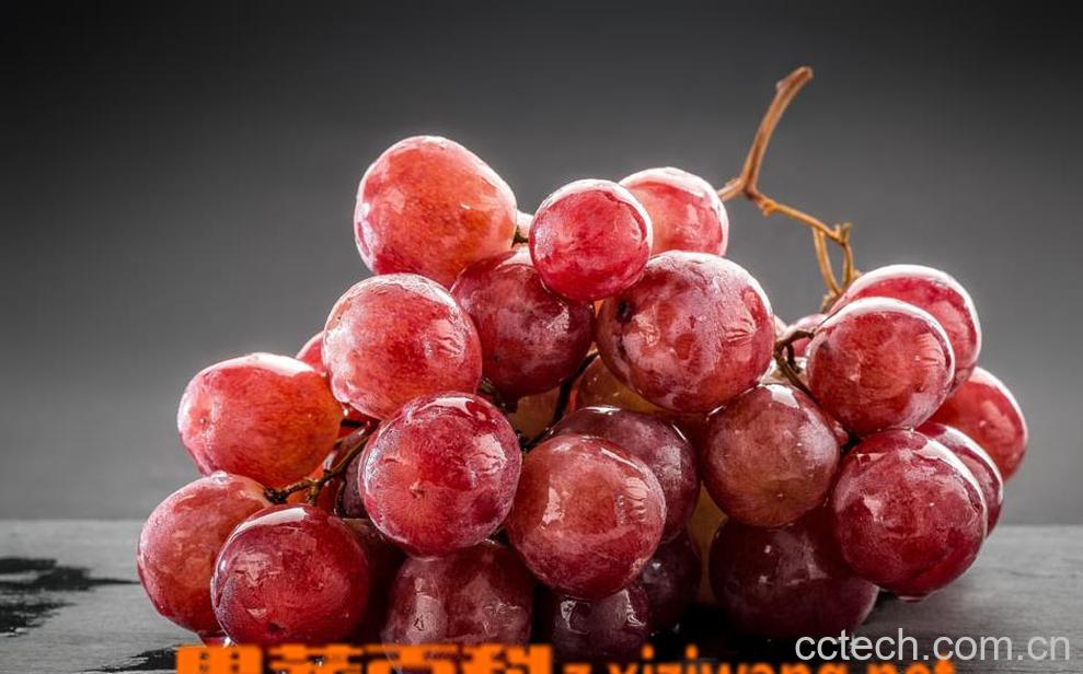 果蔬百科提子怎么吃 提子的功效与作用-0