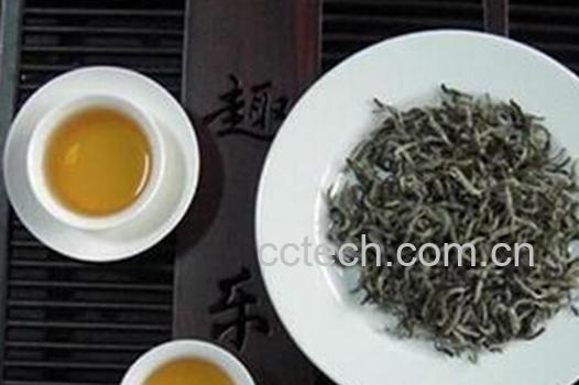 果蔬百科福鼎白茶-0