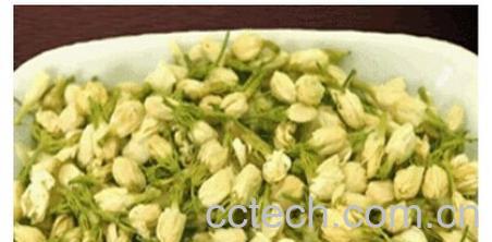 果蔬百科茉莉花茶-0