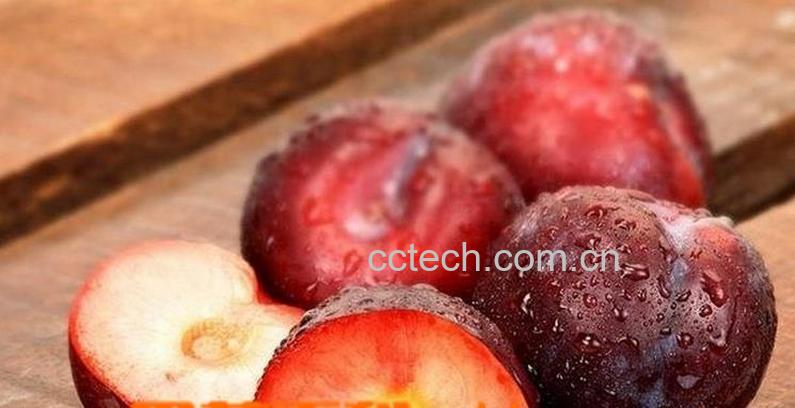 果蔬百科李子的功效与作用-0