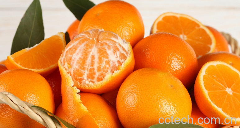 果蔬百科橘子的功效与作用-0