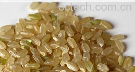 果蔬百科牛蒡茶-0