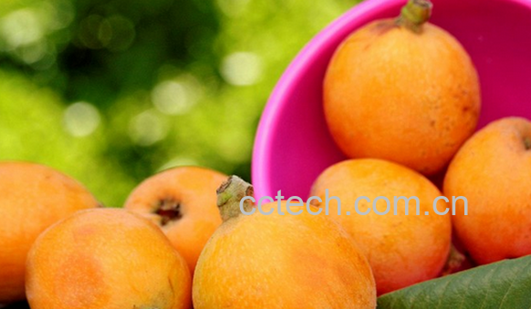 果蔬百科五月份吃什么水果好-0