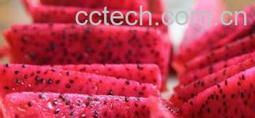 果蔬百科红心火龙果的功效与作用-0