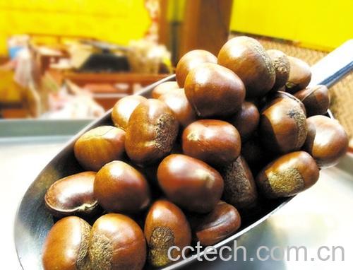 果蔬百科吃糖炒板栗的好处与坏处-0