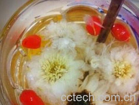 果蔬百科枸杞菊花茶-0