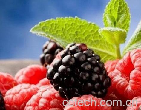 果蔬百科桑椹子的功效与作用-0