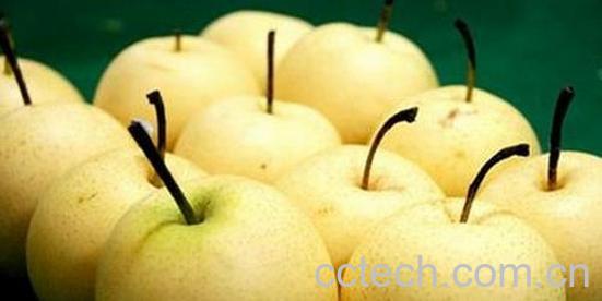 果蔬百科梨的功效与作用及禁忌-0