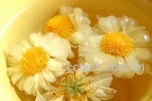 果蔬百科冰糖菊花茶-0