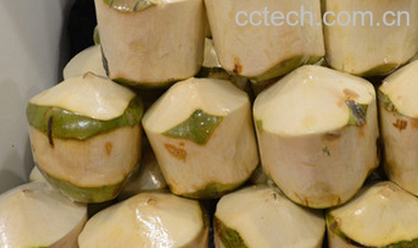 果蔬百科椰青的功效与作用-0