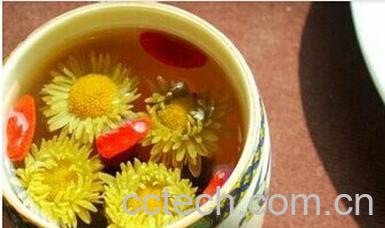 果蔬百科菊花茶-0