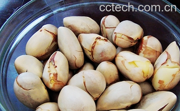 果蔬百科菠萝蜜核能吃吗-0