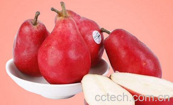 果蔬百科红啤梨怎么吃好-0