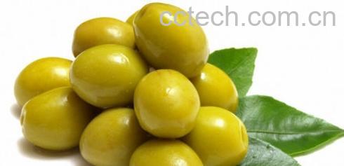 果蔬百科橄榄的功效与作用-0