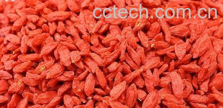 果蔬百科枸杞-0