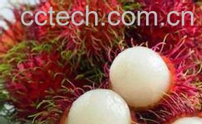 果蔬百科毛荔枝的功效与作用-0