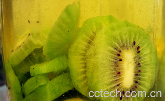 果蔬百科猕猴桃酒的功效与作用-0