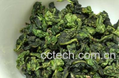 果蔬百科铁观音-0