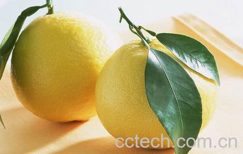 果蔬百科柚子的热量有多高?-0