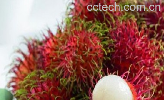 果蔬百科红毛丹的常见吃法-0