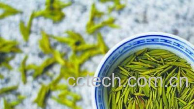 果蔬百科茶多酚-0