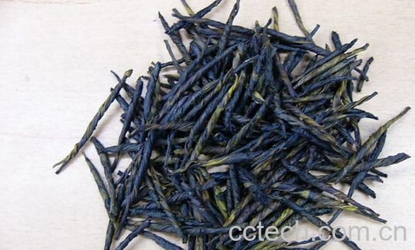 果蔬百科苦丁茶-0