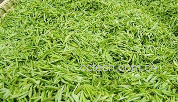 果蔬百科信阳毛尖-0