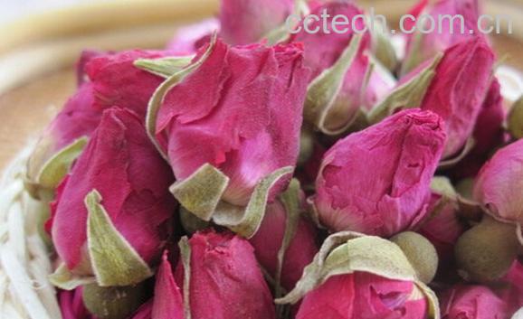 果蔬百科玫瑰花茶-0